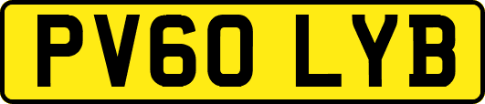 PV60LYB