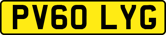 PV60LYG