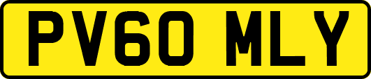 PV60MLY