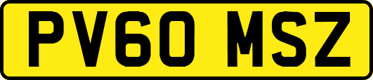 PV60MSZ