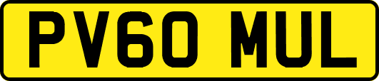 PV60MUL
