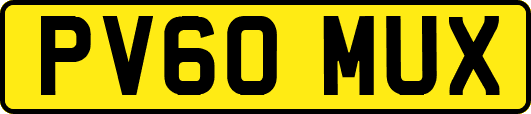 PV60MUX