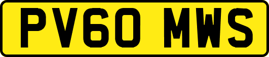 PV60MWS