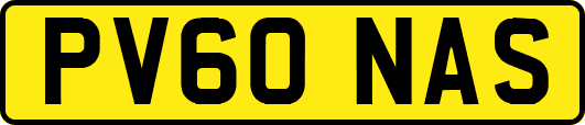 PV60NAS