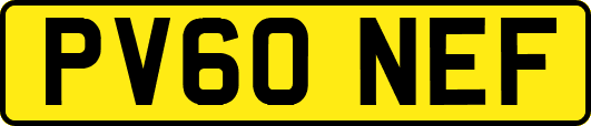 PV60NEF