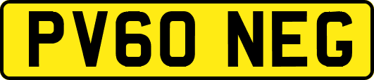 PV60NEG