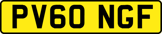 PV60NGF