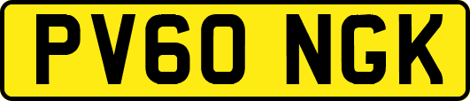 PV60NGK