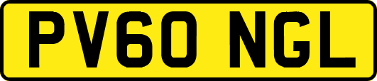 PV60NGL