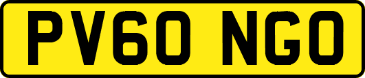 PV60NGO