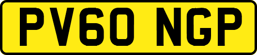 PV60NGP