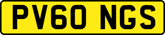 PV60NGS