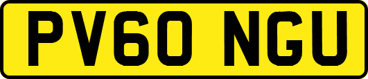 PV60NGU