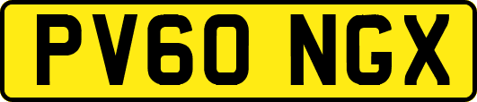 PV60NGX