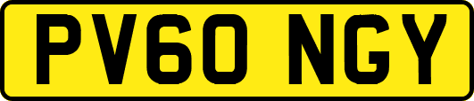 PV60NGY