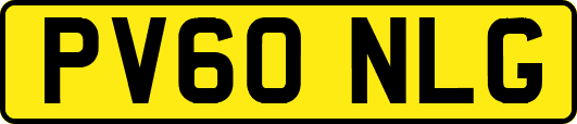 PV60NLG