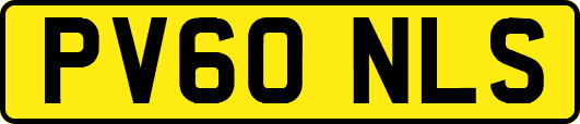 PV60NLS