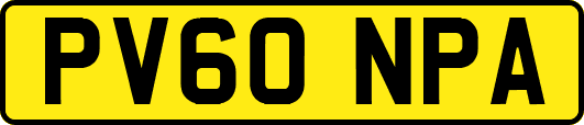 PV60NPA