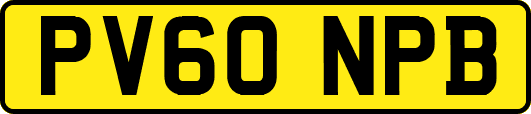 PV60NPB