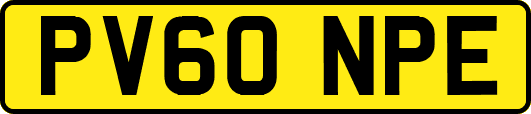 PV60NPE
