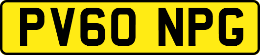 PV60NPG