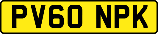 PV60NPK