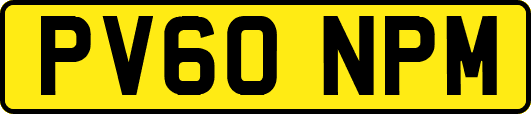 PV60NPM