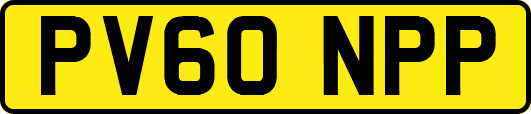 PV60NPP