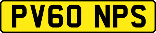 PV60NPS