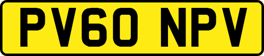PV60NPV