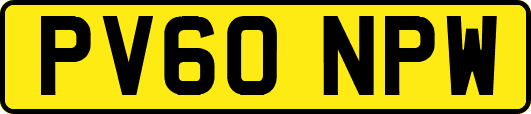 PV60NPW