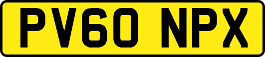 PV60NPX