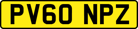 PV60NPZ