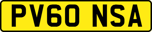 PV60NSA