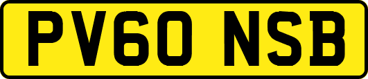 PV60NSB