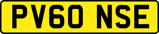 PV60NSE