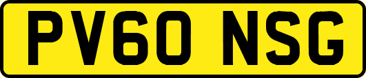 PV60NSG