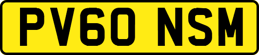 PV60NSM