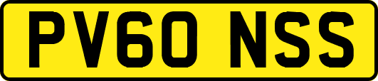 PV60NSS