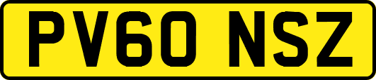 PV60NSZ