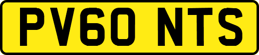 PV60NTS