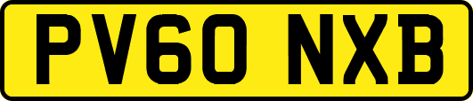 PV60NXB