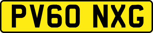 PV60NXG