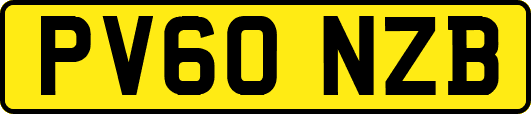 PV60NZB