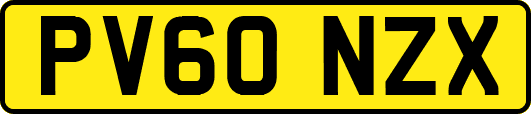 PV60NZX