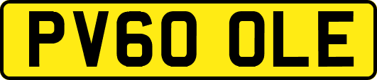 PV60OLE