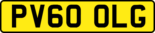 PV60OLG