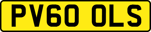 PV60OLS