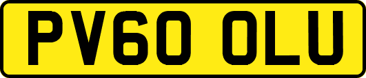 PV60OLU