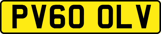 PV60OLV